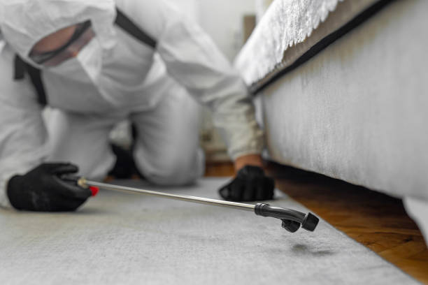 Professional Cockroach Control technician working in Carteret, NJ