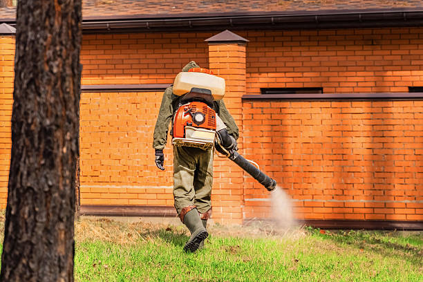 Trusted Termite Control service in Carteret, NJ - Nex Pest Control